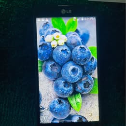 Product Gallery Image